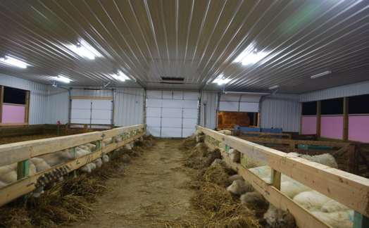 insulated indoor lambing